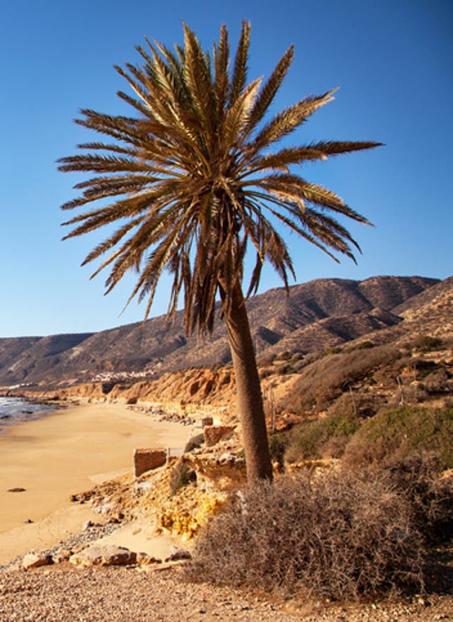 Hotel buchen Golfreisen Marokko: Strandblick auf den Strand in Agadir