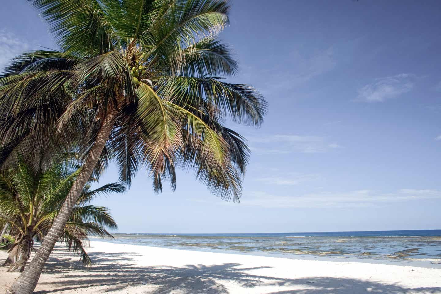 Kenia Strände: Strand bei Mombasa mit einem Blick ins Watt