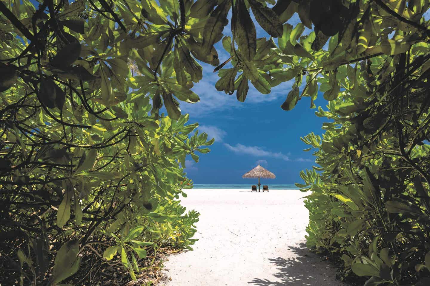 Insider Tipps Malediven Kanifushi