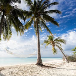Malediven-Hängematte-am-Strand-g-1384250414.jpg