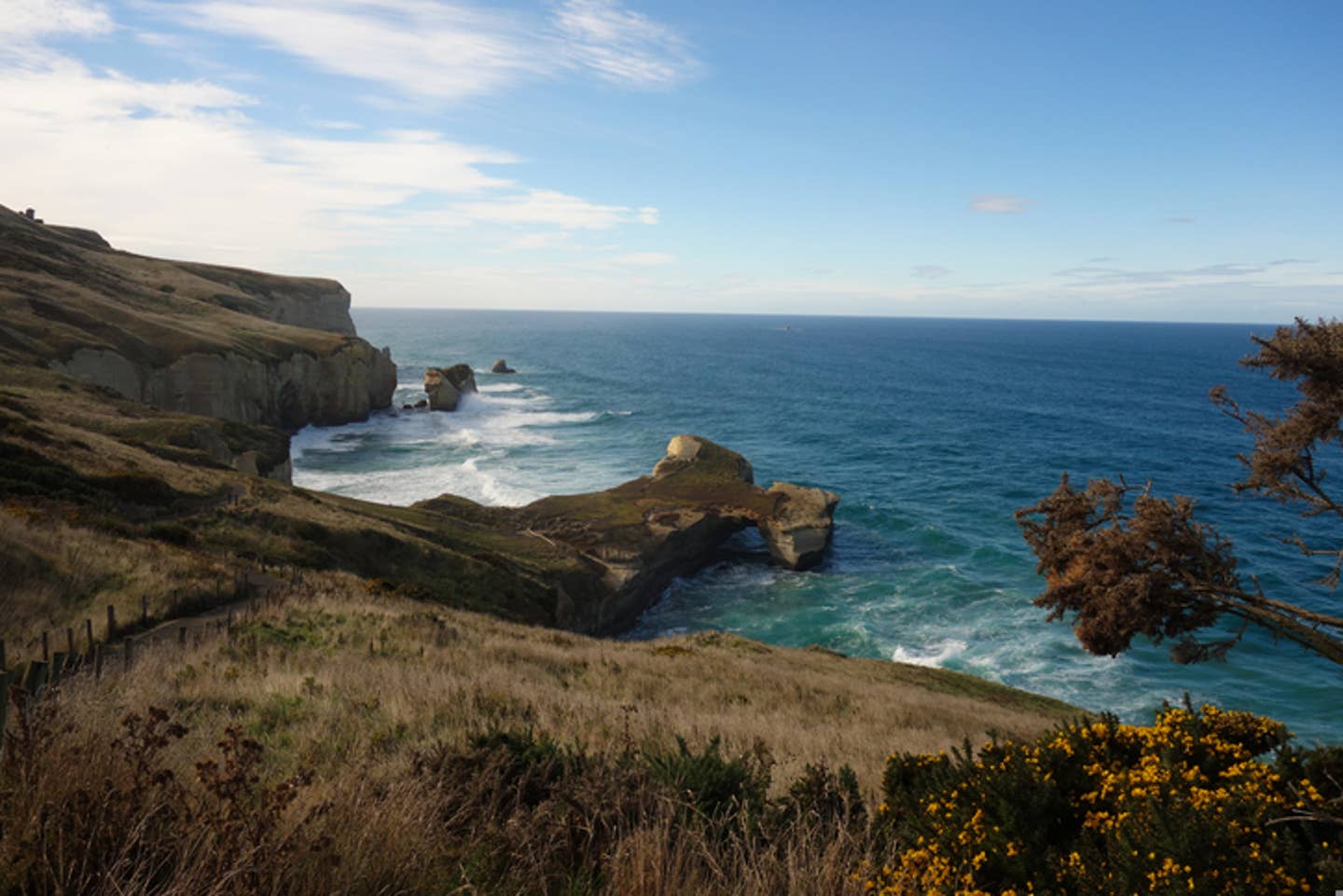 Rundreisen Neuseeland: Neuseelands Küste am Tunnel Beach