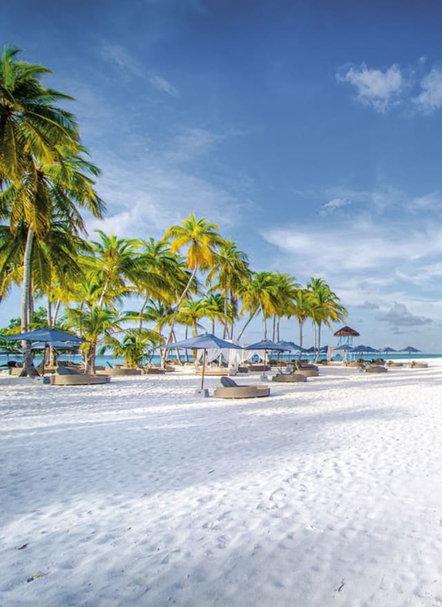 Angebote entdecken Malediven Strand Palmen Meer