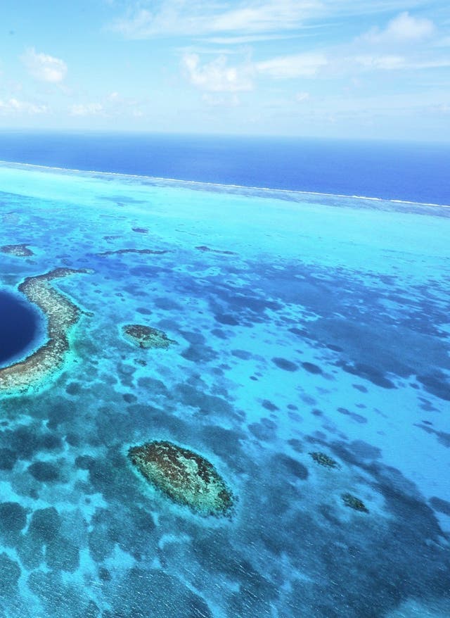 Belize: Tauchen im blauen Meer der Karibik Belize: Tauchen in der Karibik