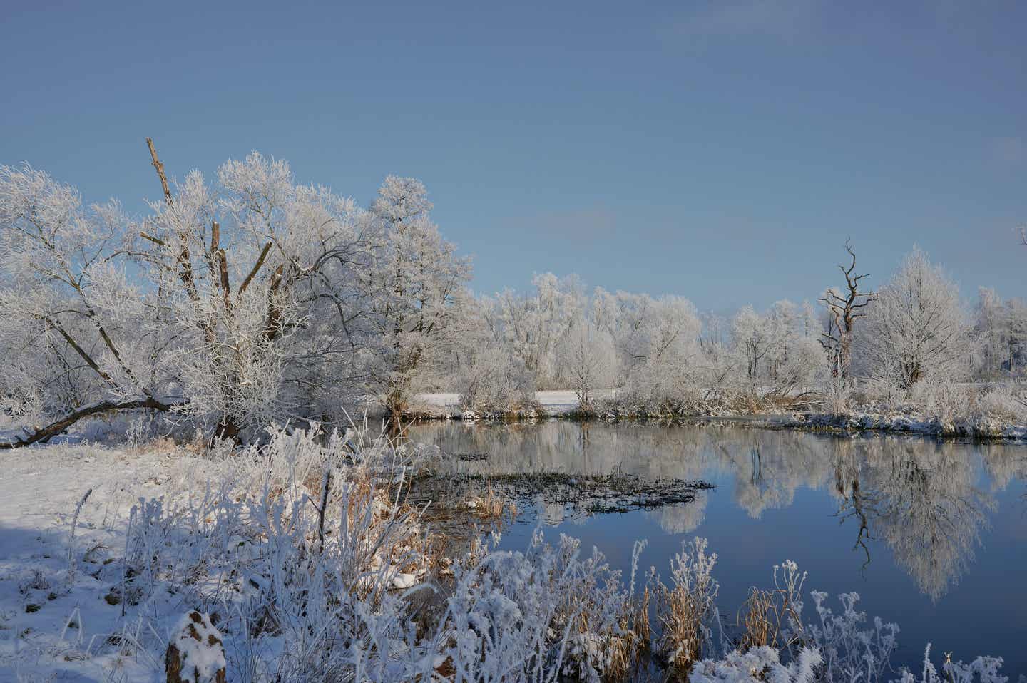 Spreewald Urlaub mit DERTOUR. Winterlandschaft an der Spree in Brandenburg