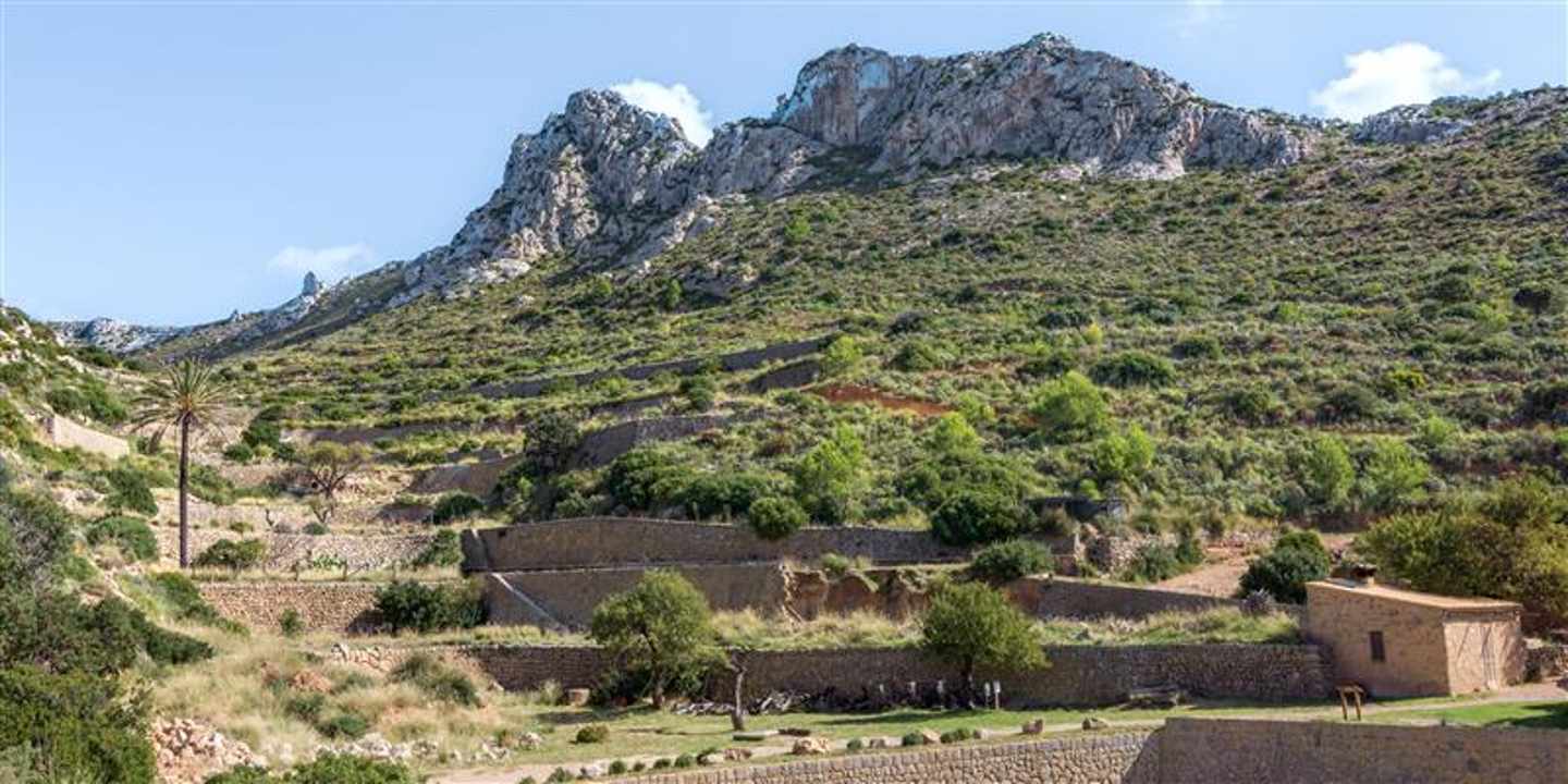 Terrassierte Hügellandschaft der Insel Sa Dragonera vor felsigem Gipfel unter klarem Himmel nahe Mallorca