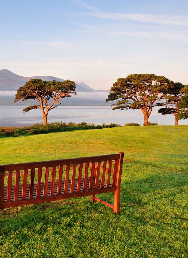 Rundreise buchen Rind of Kerry in Irland