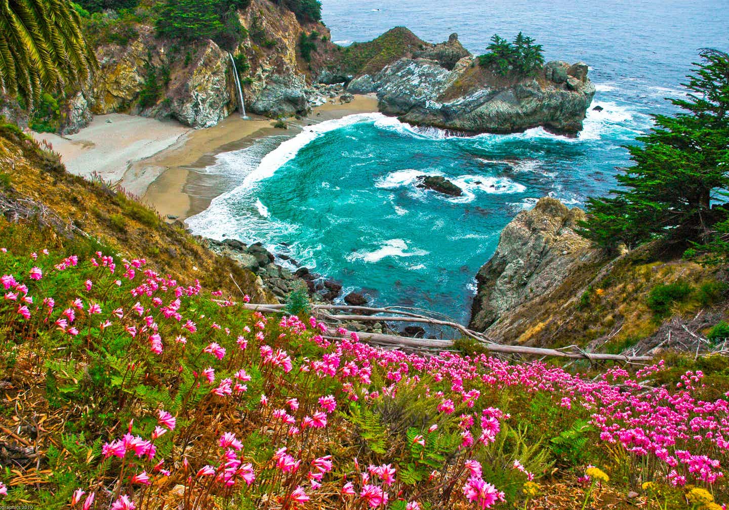 In voller Blüte: Julia Pfeiffer Burns State Park