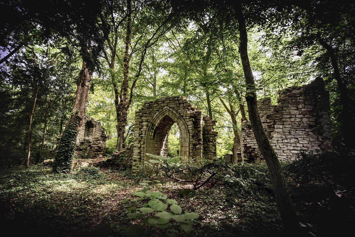 Eine alte Burgruine mitten im Wald