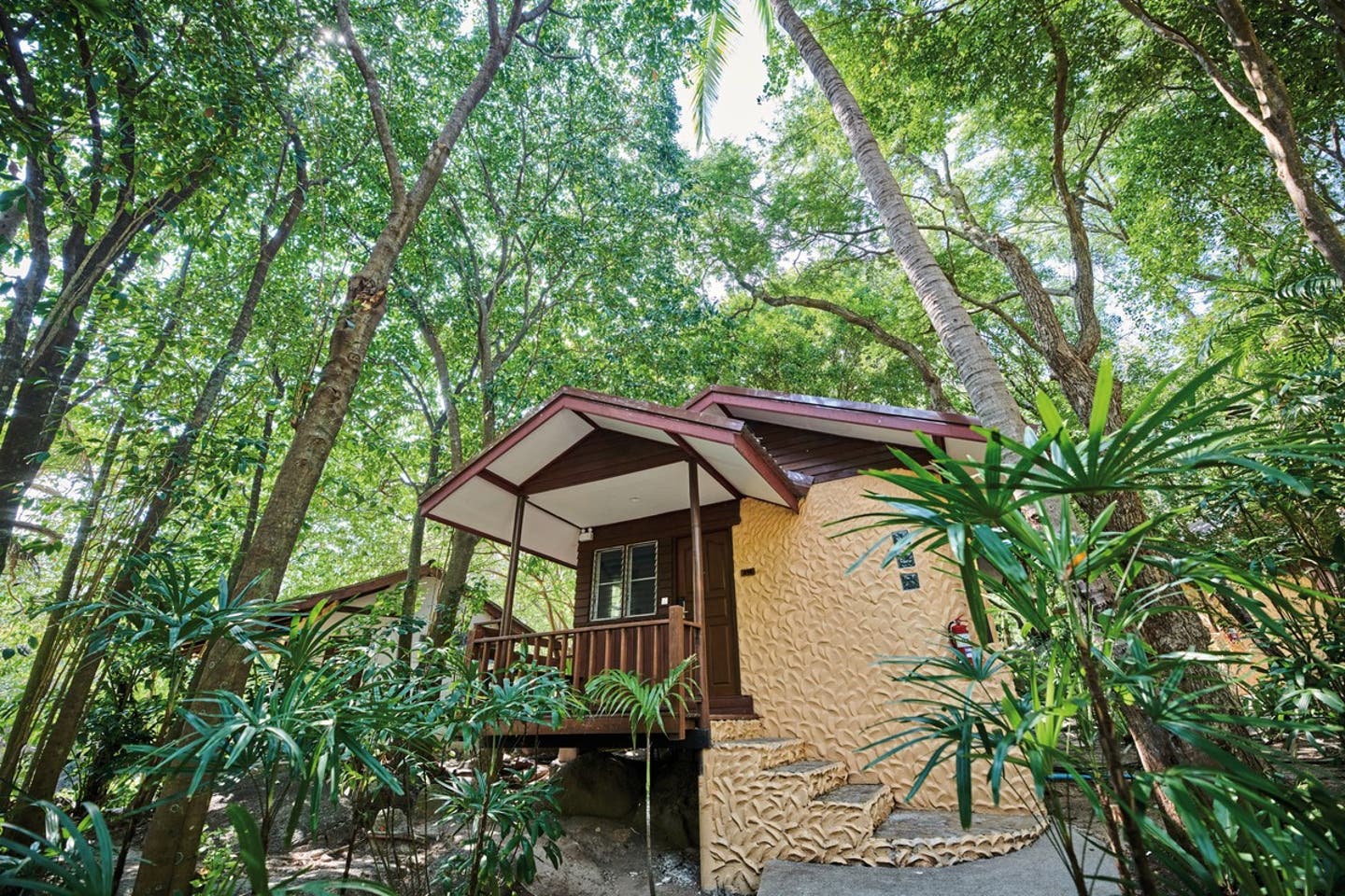 Wohnbeispiel Starfish Hut