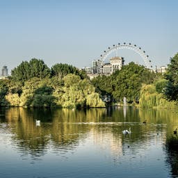 england-london-st-james-park-g-1171402302_bearbeitet.jpg