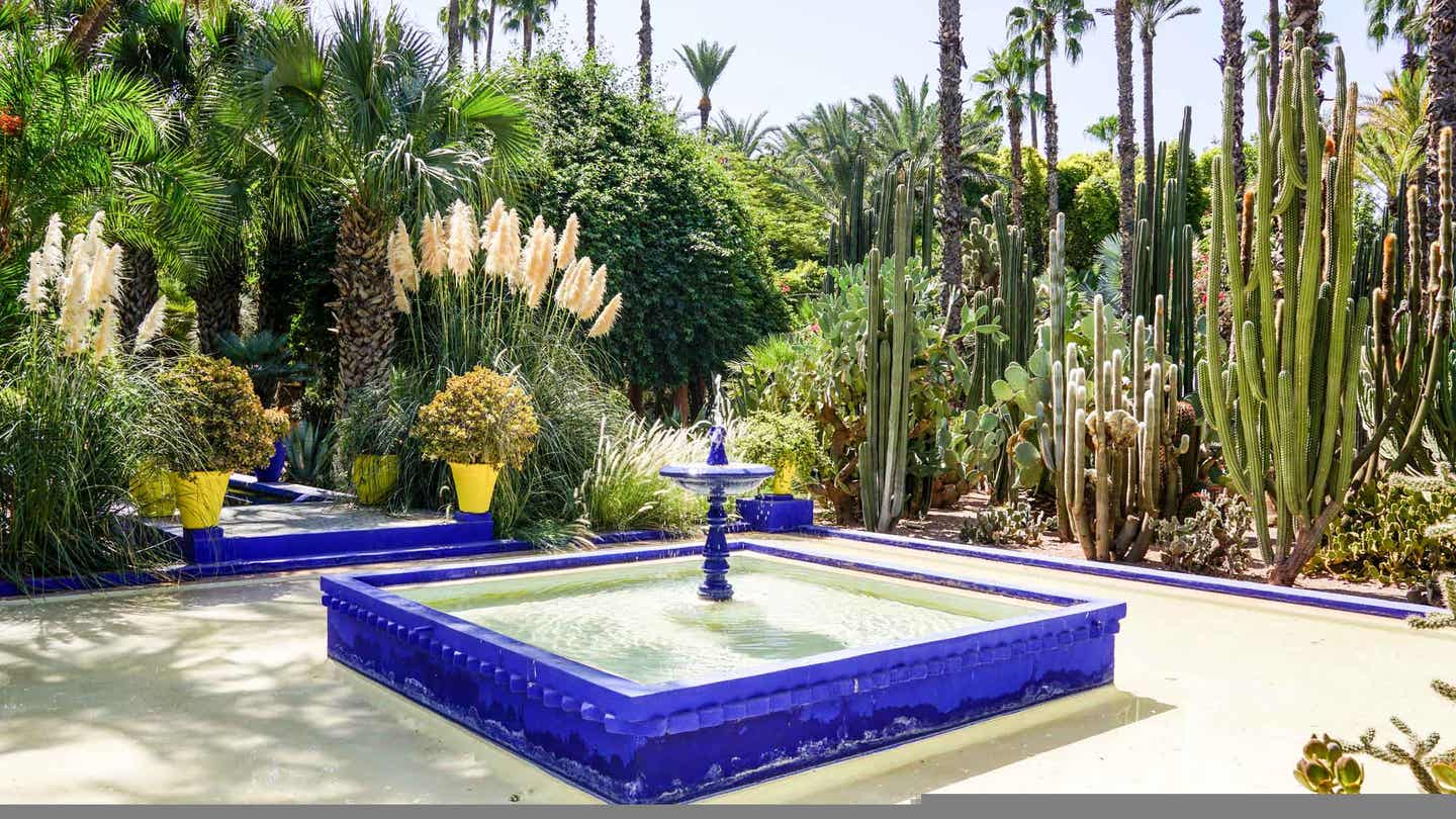 Marrakeschs Sehenswürdigkeiten: der Jardin Majorelle