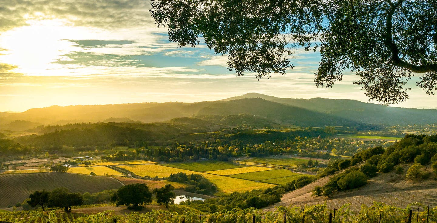 Blick auf die Weinberge von Sonoma bei Sonnenuntergang