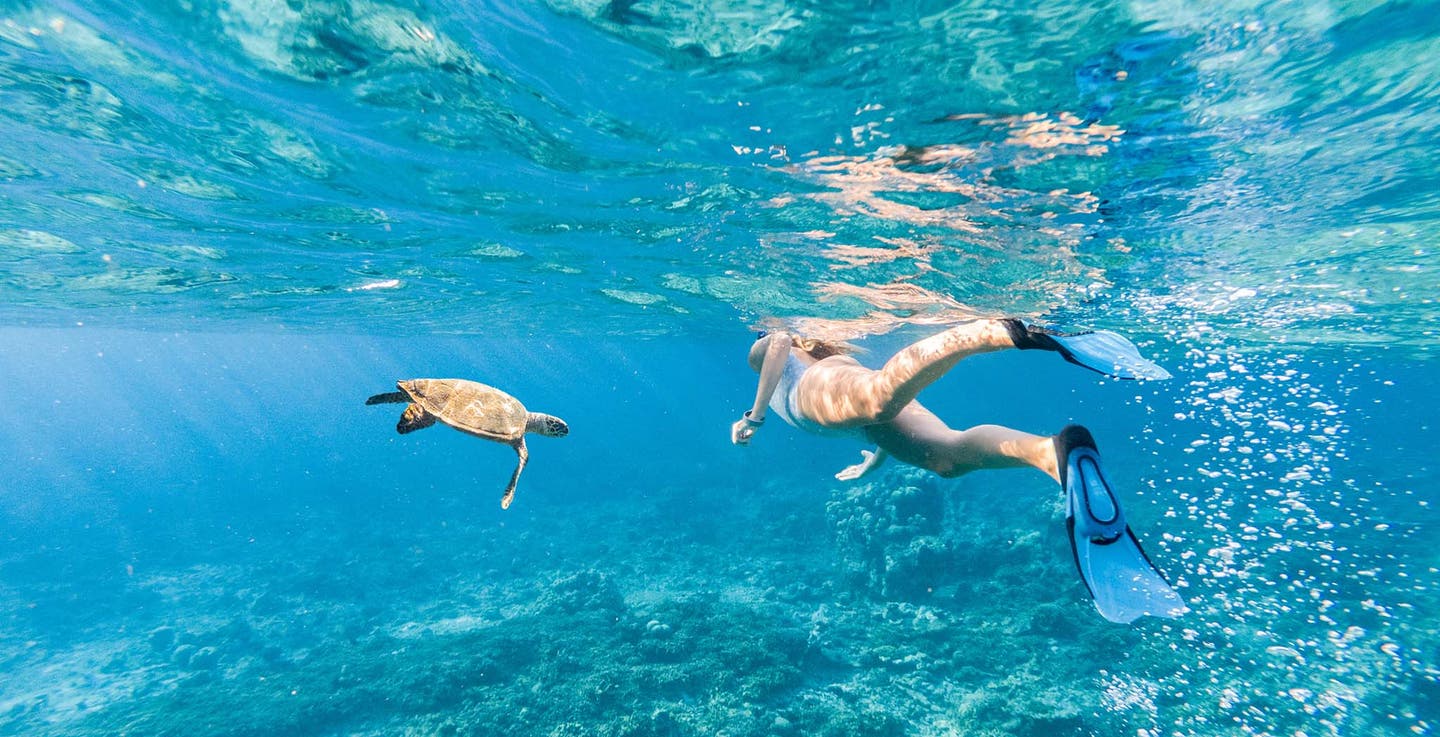 Frau schnorchelt mit einer Wasserschildkröte