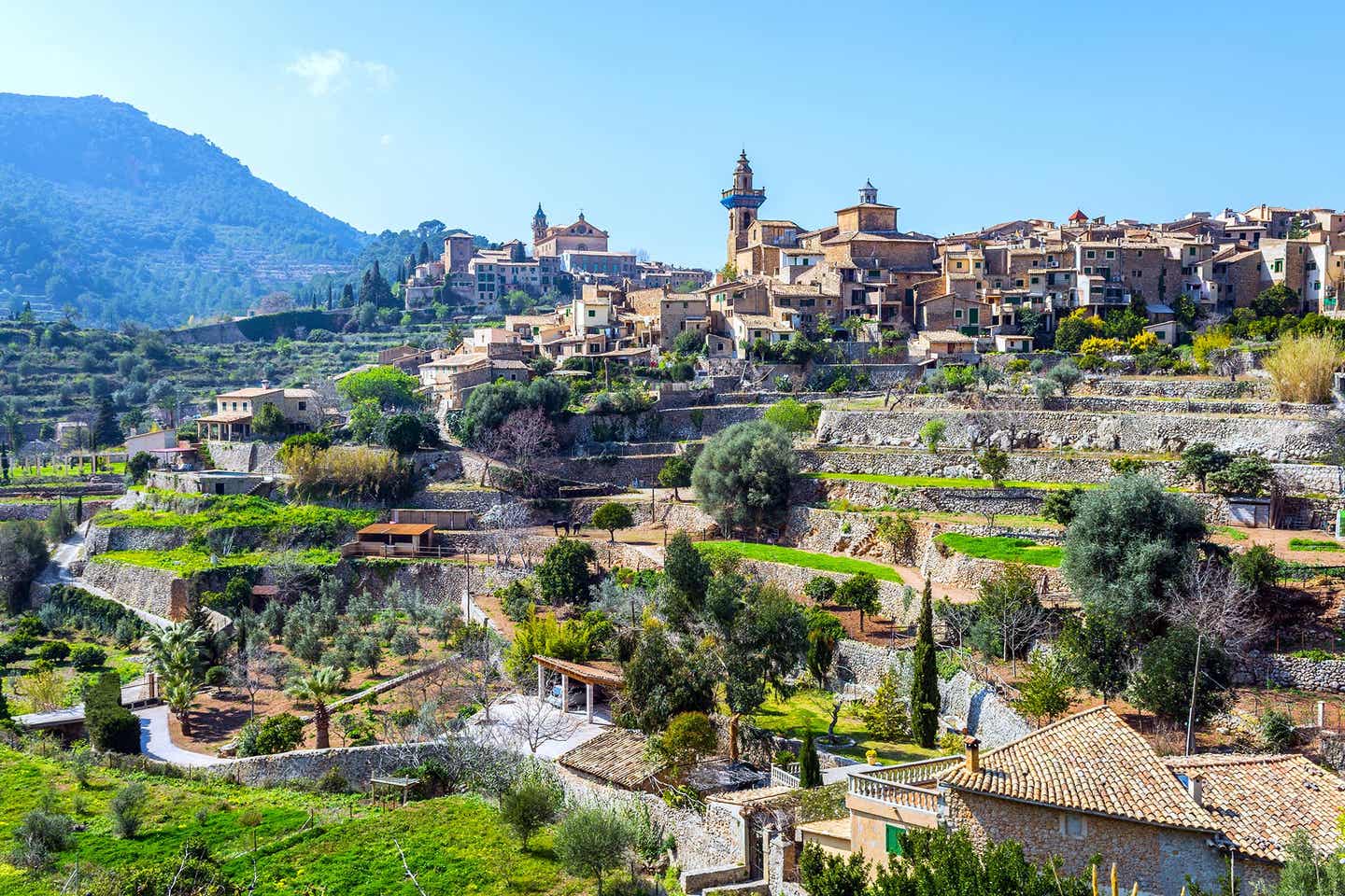 Valldemossa – hier zeigt sich Mallorcas Mandelblüte besonders prachtvoll