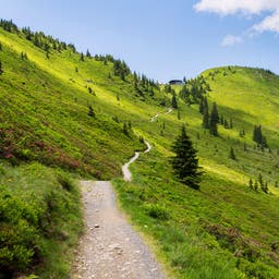 Wanderhotels im Salzburger Land