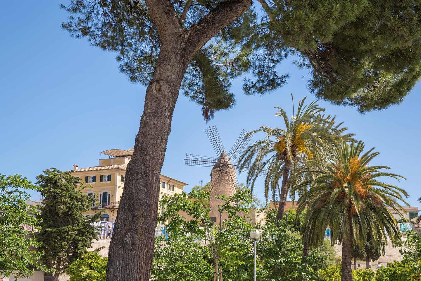 Blick in die Altstadt von Santa Catalina