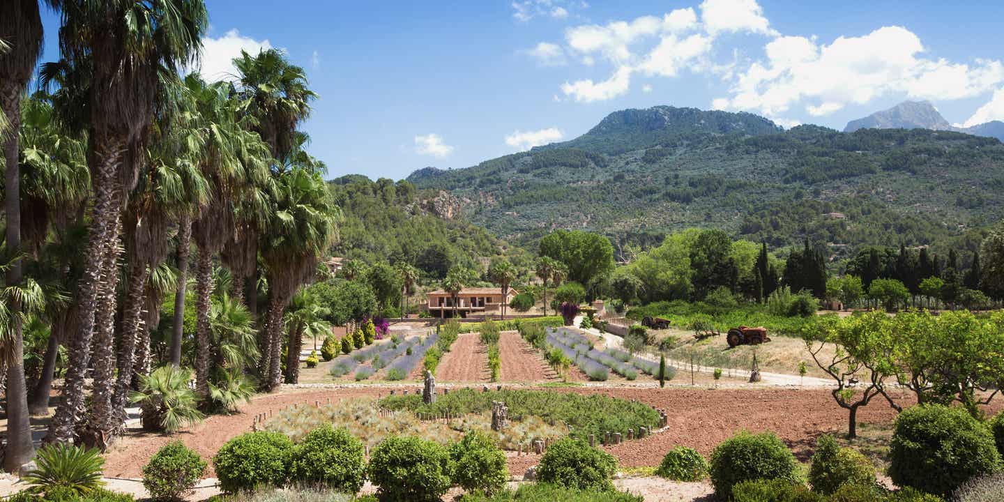 Schönste Hotels Mallorca: Garten des Finca Ca N’Ai