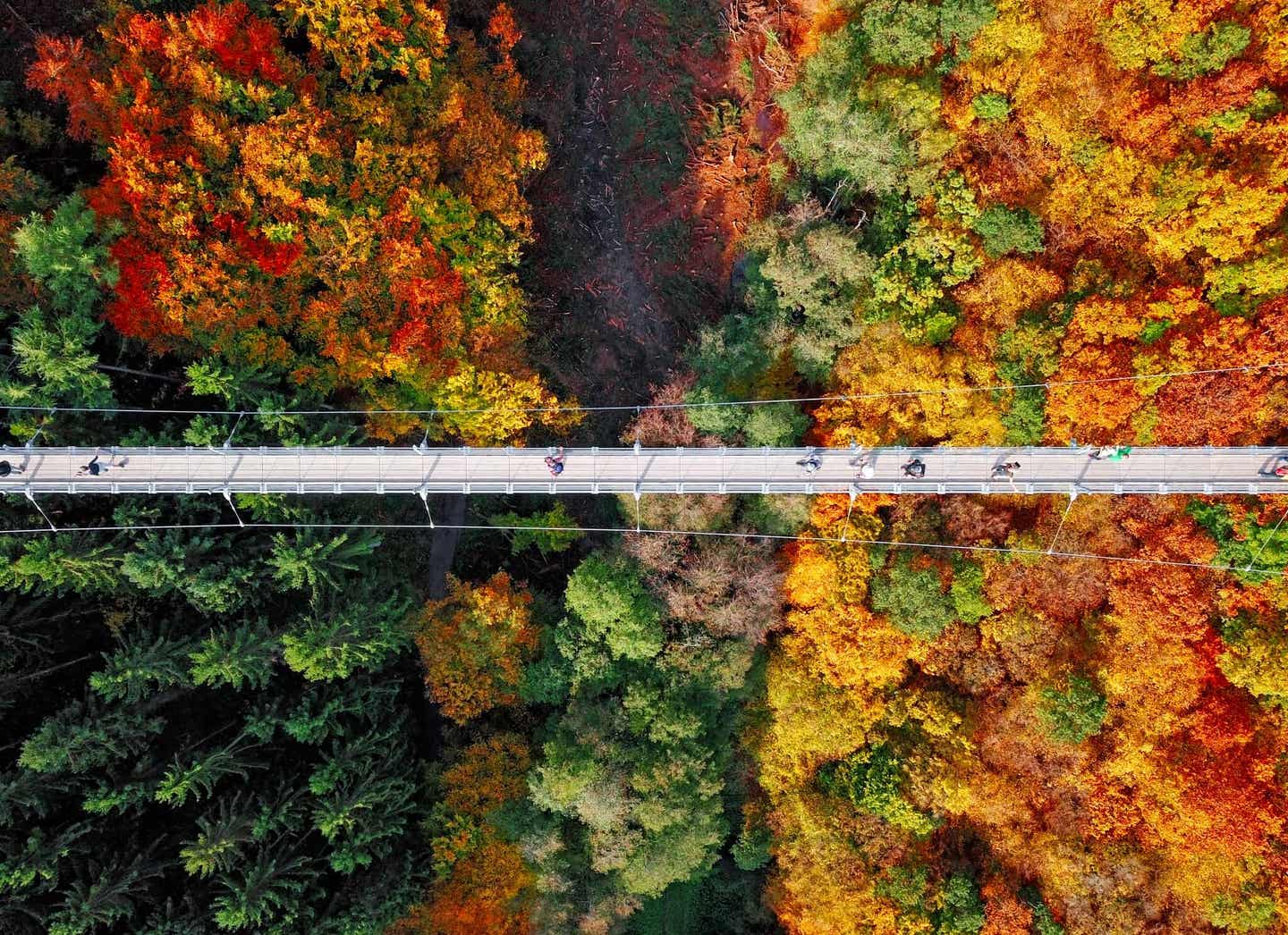 Tolle Fotolocation: die Hängeseilbrücke Geierlay