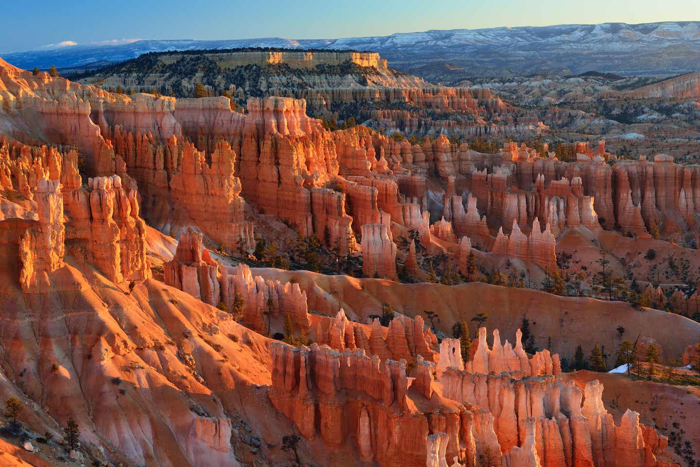 Bryce Canyon am frühen Morgen