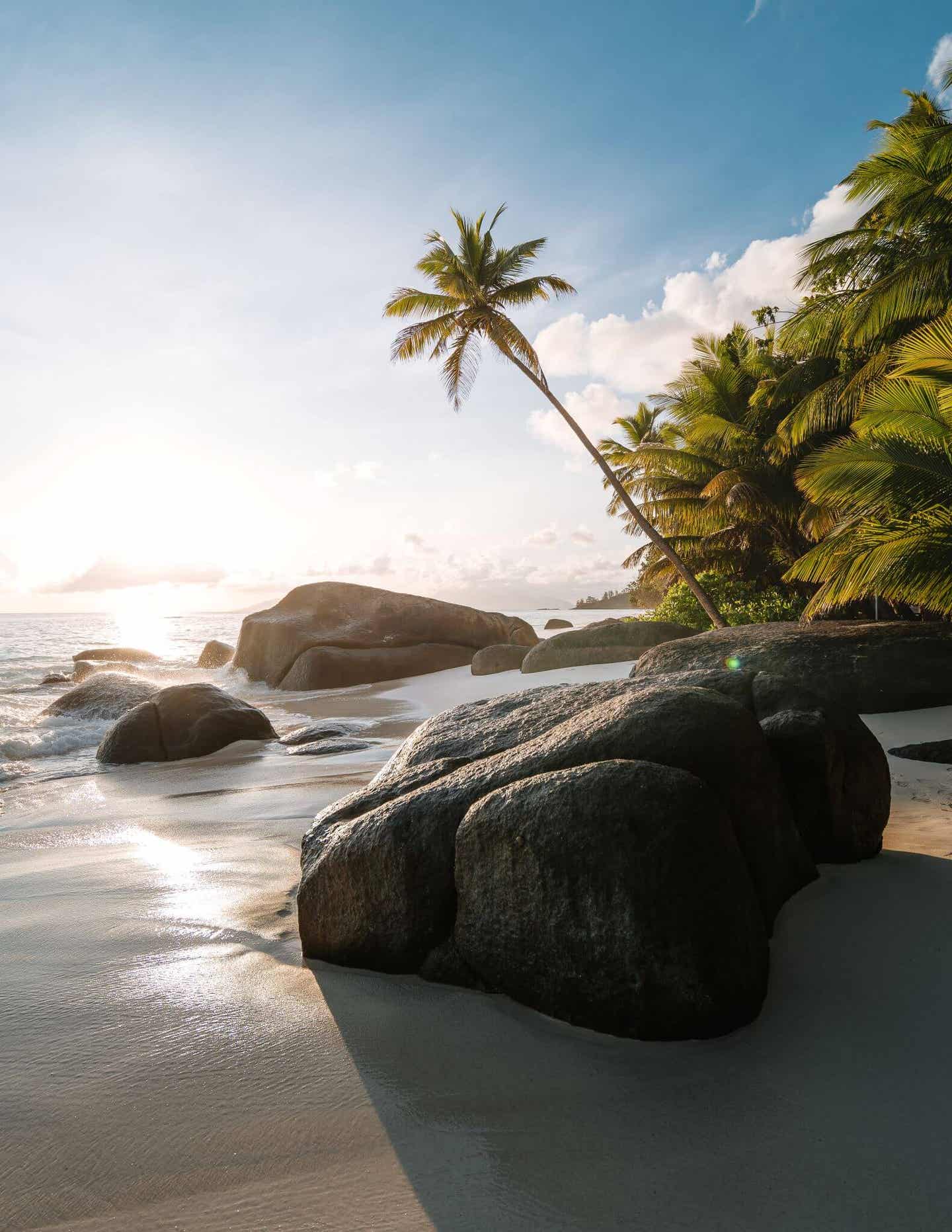 Strandhochzeit auf den Seychellen: Entspannen am Strand