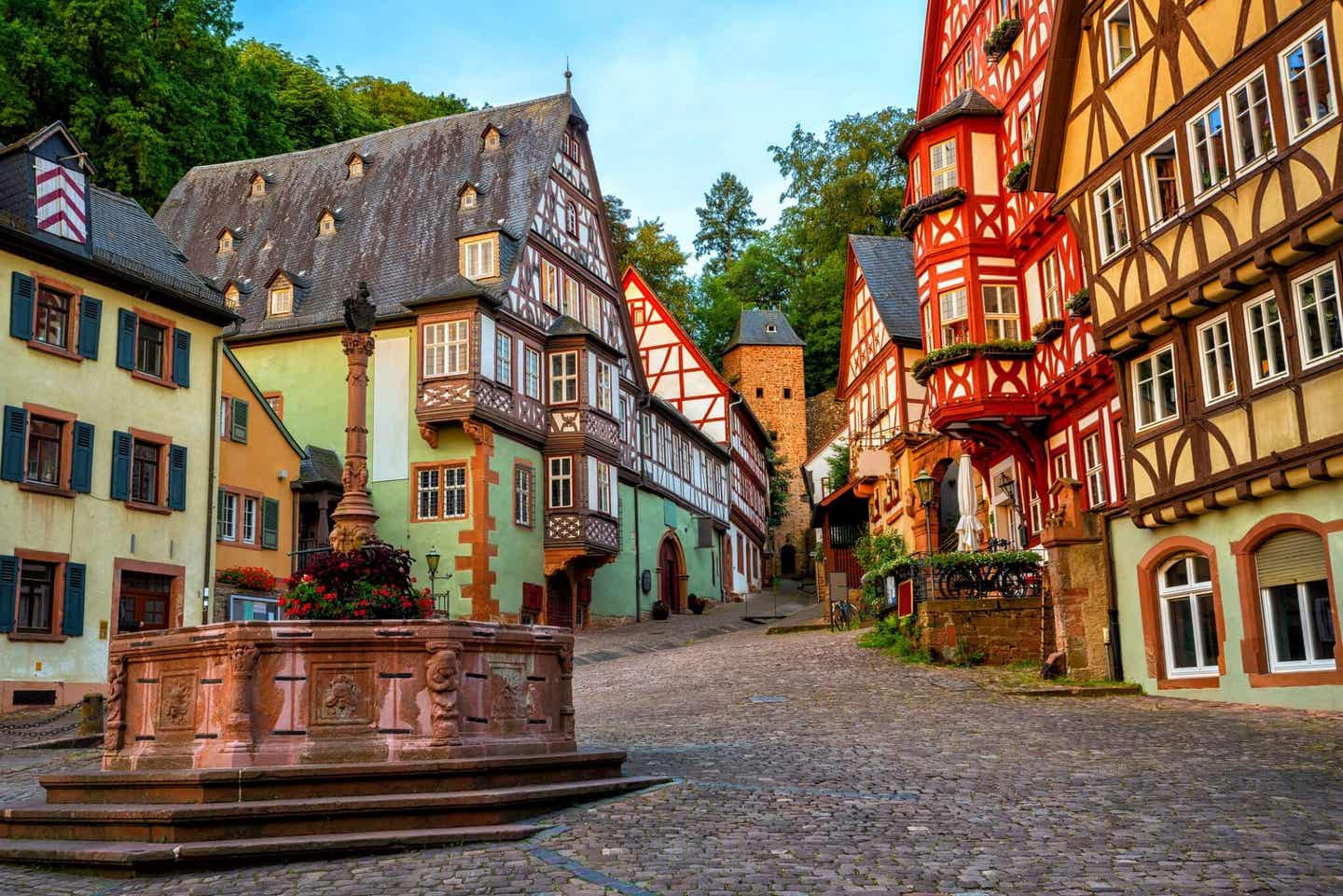 Miltenberg in Bayern: Wandern in der Natur