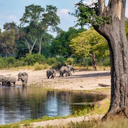 Hotel Caprivi Zipfel