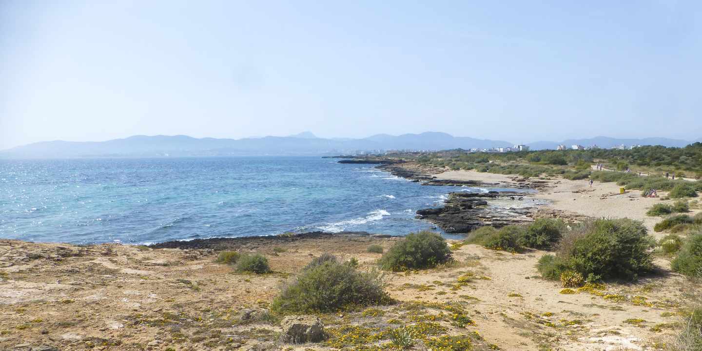 Küstenabschnitt bei Can Pastilla mit flachem Ufer, niedriger Vegetation und ruhigem Meer unter klarem Himmel