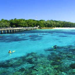 Cairns Hotels