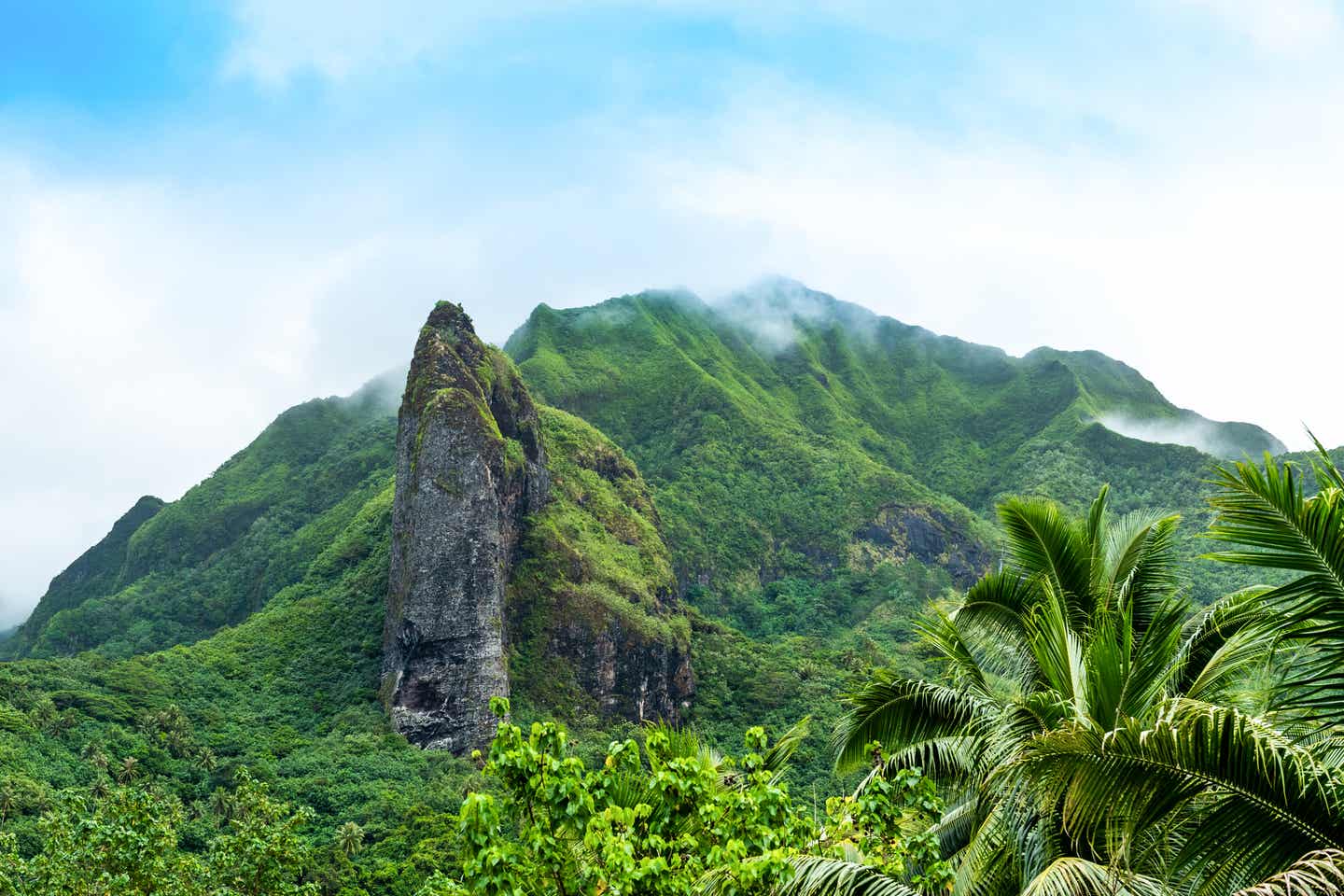 Ein Felsen ragt aus der grünen Landschaft von Raiatea Island hervor