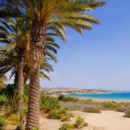 Hotels Costa Calma