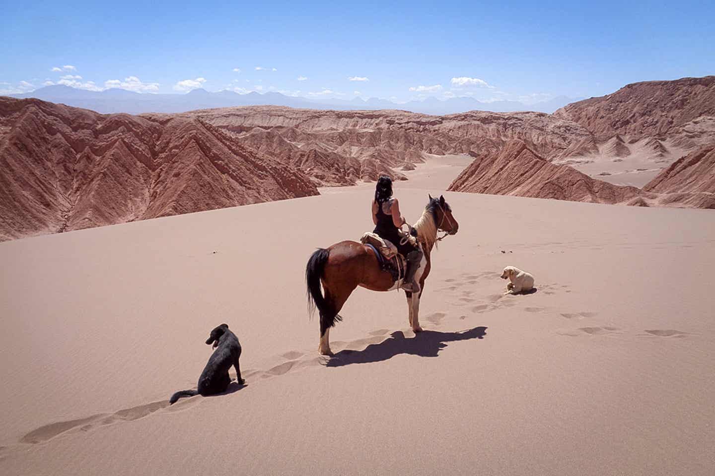 Christin erkundet die Atacama Wüste auf dem Rücken eines Pferdes