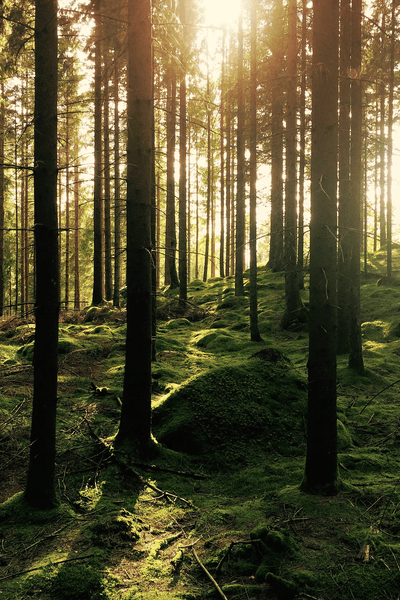 Philips OneBlade 360 con conectividad: únete al club