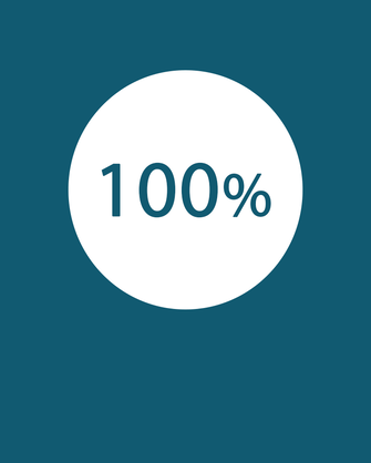 100% Icon