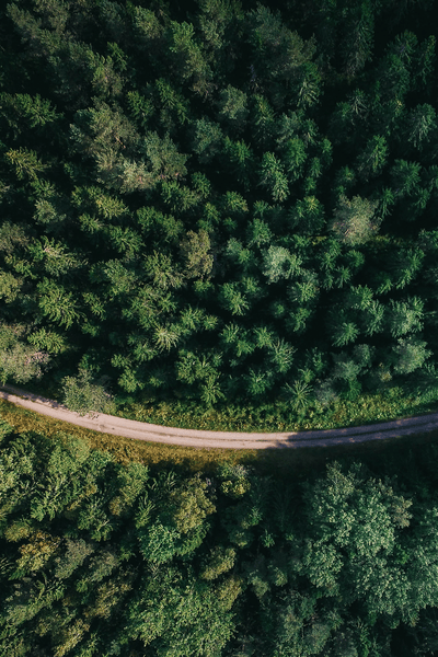 Road through forest showing low environmental impact