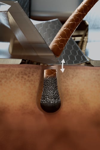 close cut hairs of shaving
