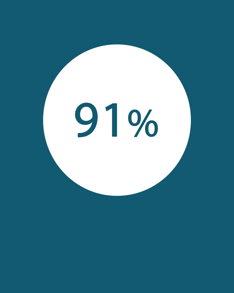 91% icon