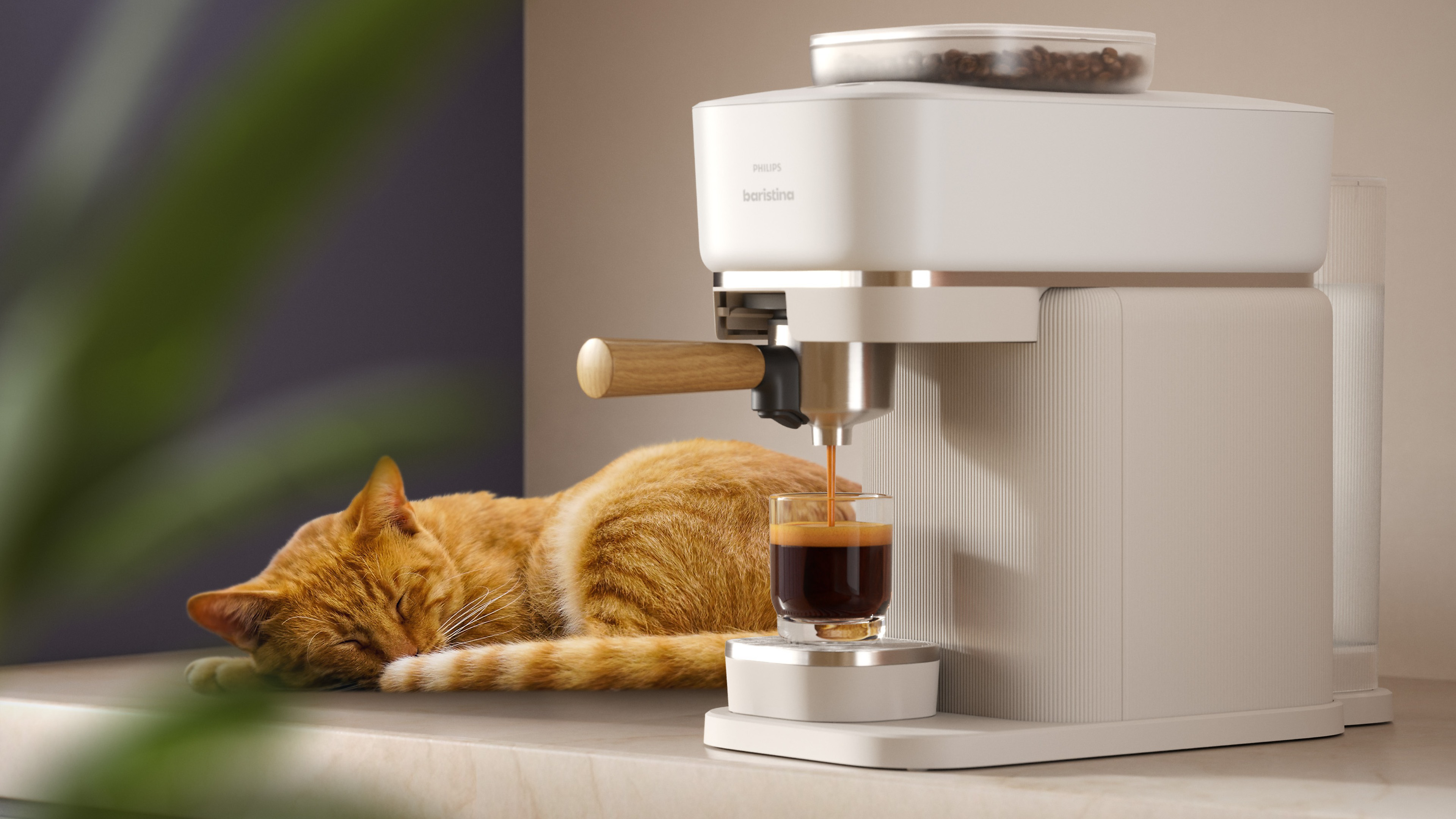 آلة Baristina من Philips وبجوارها قطة نائمة