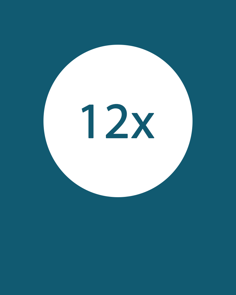 12x Icon