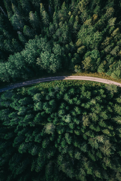 Kelias per mišką, rodant mažą poveikį aplinkai