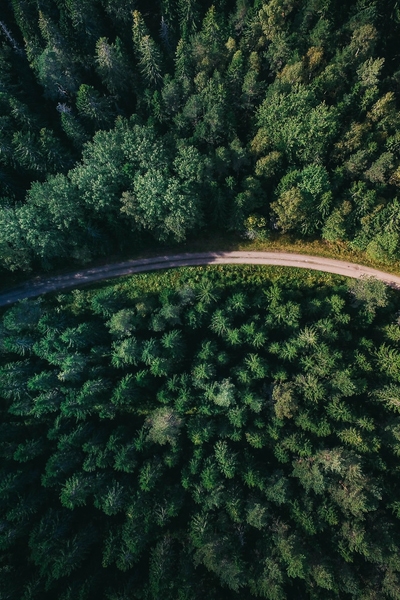 Sustainability banner