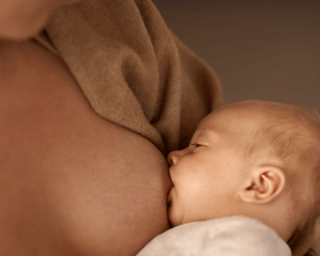 Guia de fluxos para uma melhor adaptação.