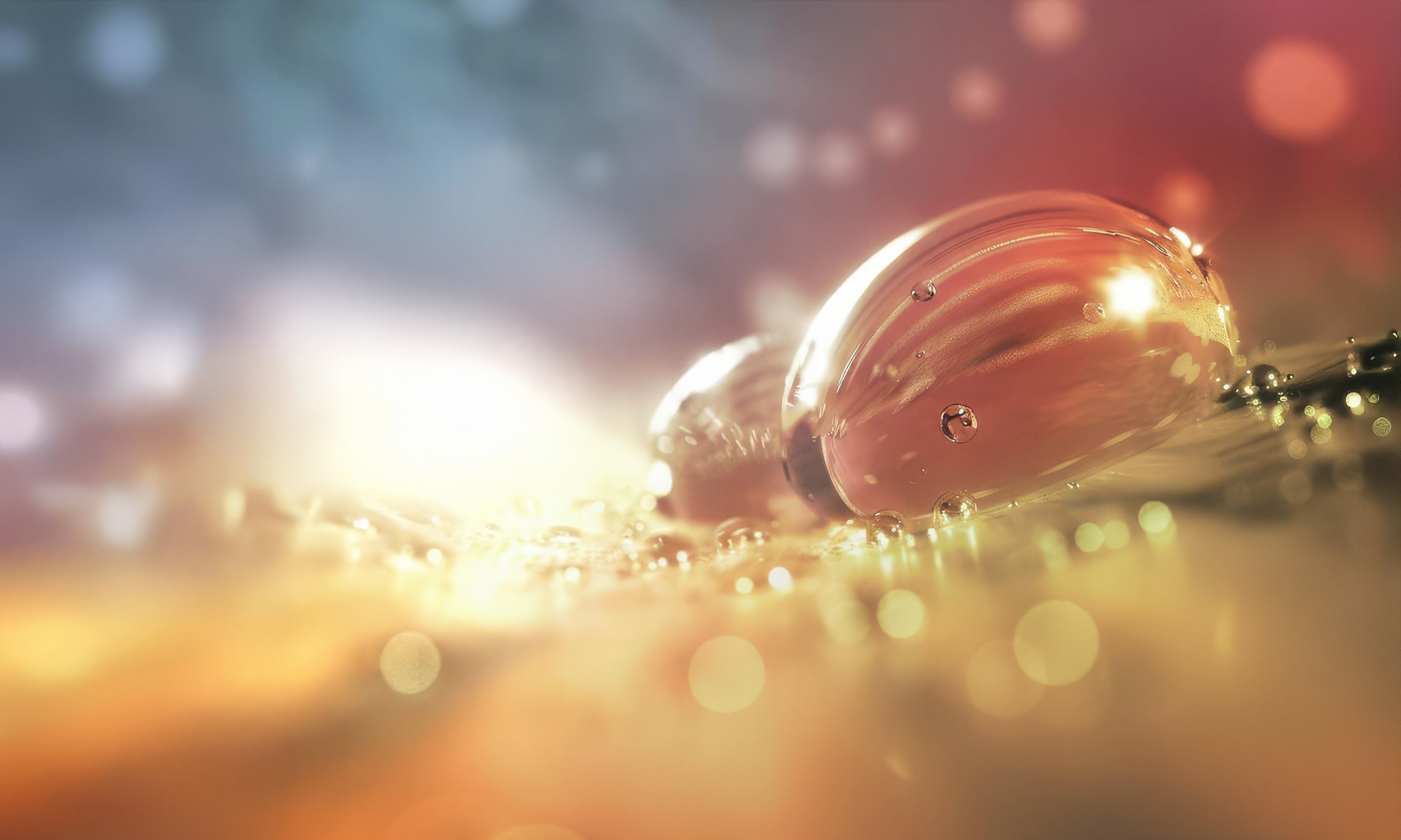 „SenseIQ“ jaučia, pritaiko, rūpinasi