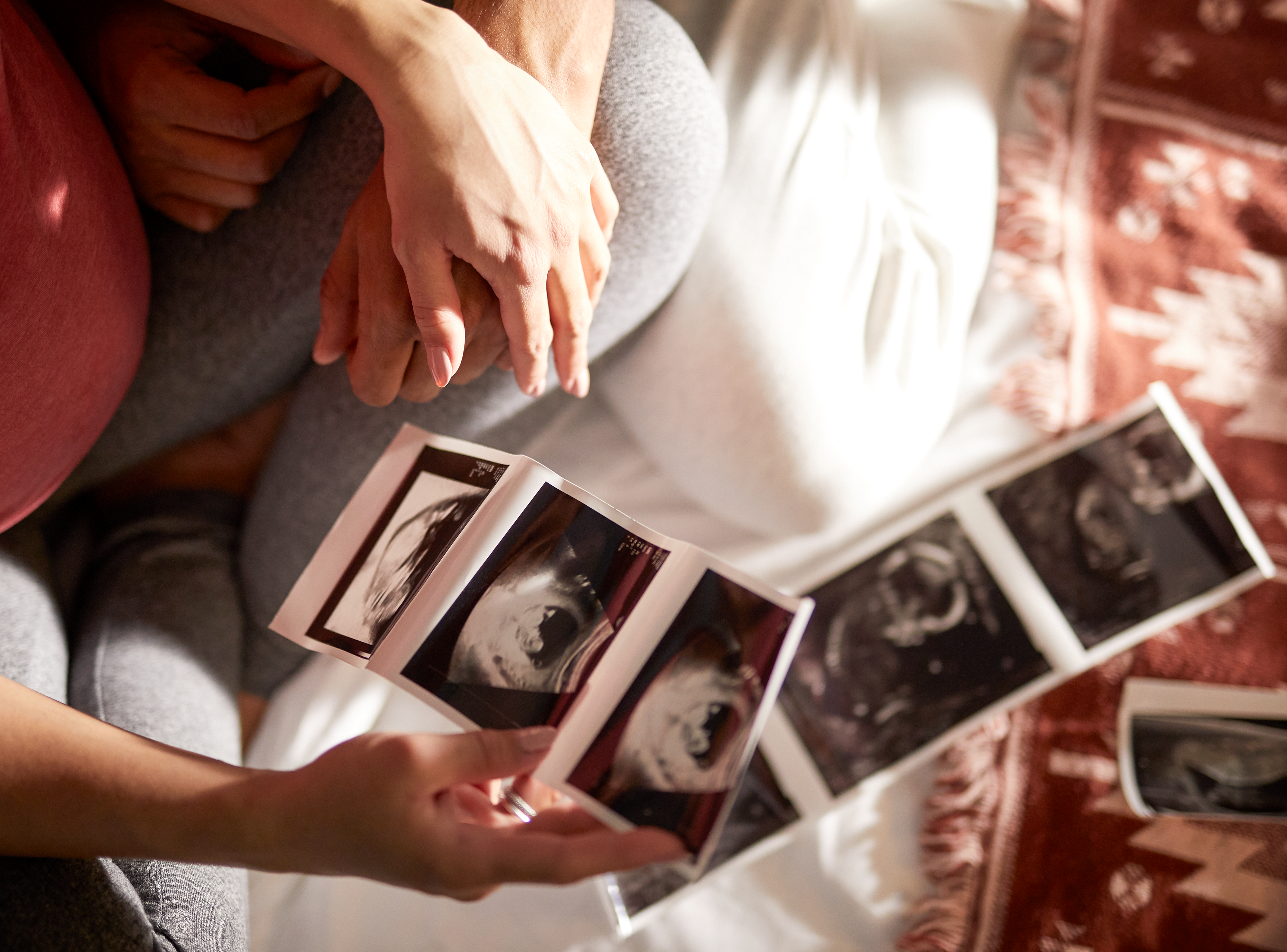 באנר אפליקציית Pregnancy+‎