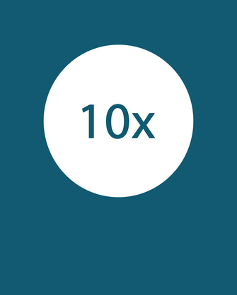 10x ikona