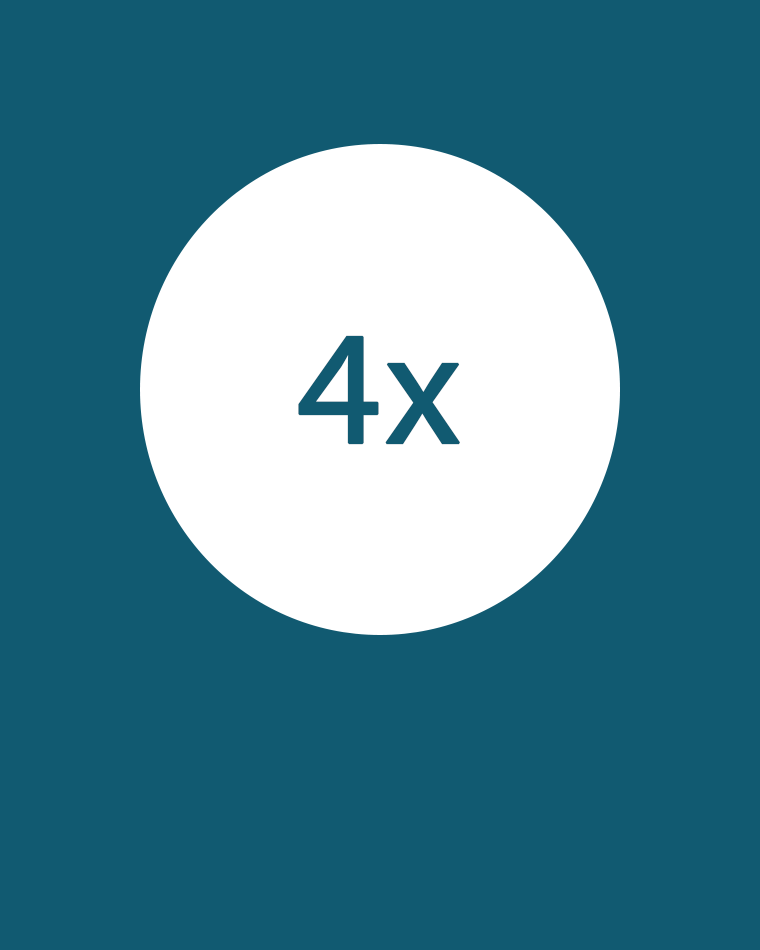 4x Icon