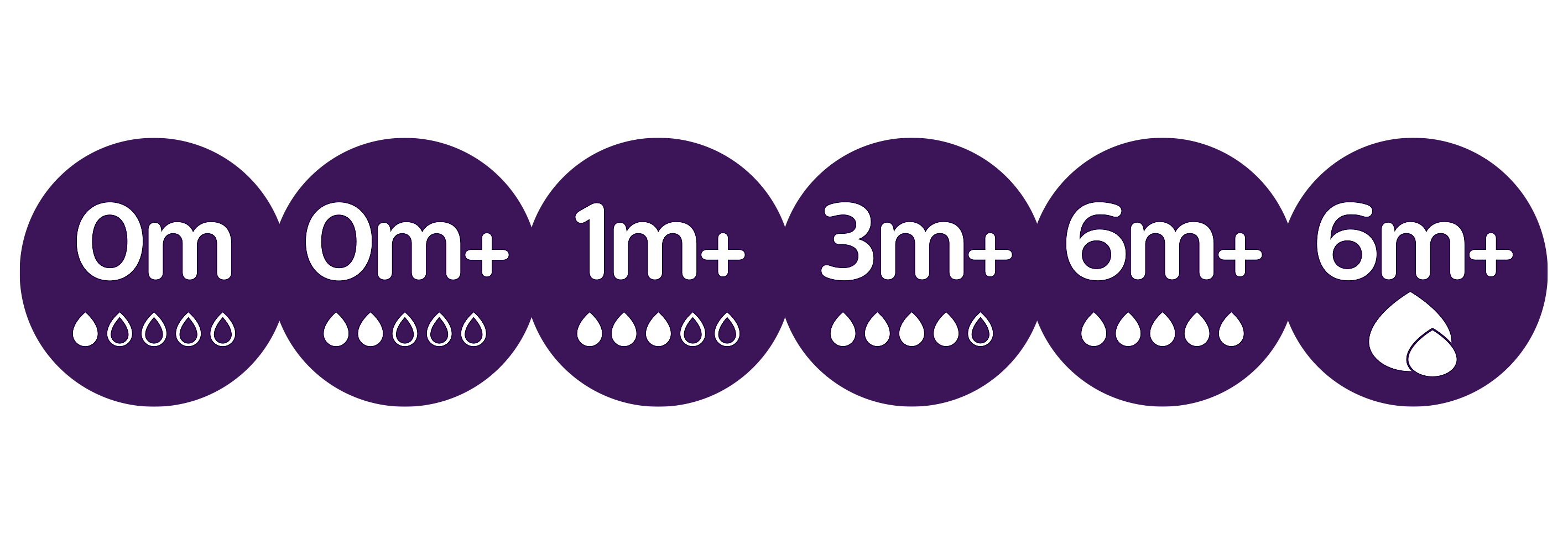 Infographic providing an overview of the flows associated with the babies' months.
