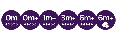 Infographic providing an overview of the flows associated with the babies' months.