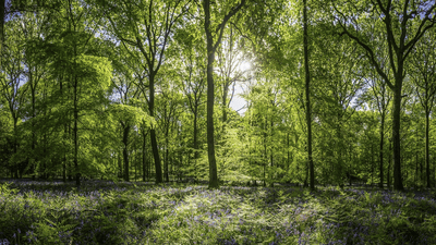 Automatisch artikel_Recycling van verpakkingen