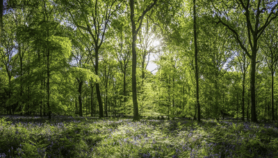 Recovery and recycling of packaging