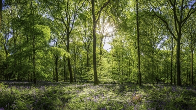 Auto Recycling of packaging